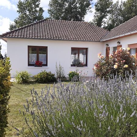 Studio Du Gite Wavrans-sur-l'Aa Eksteriør bilde