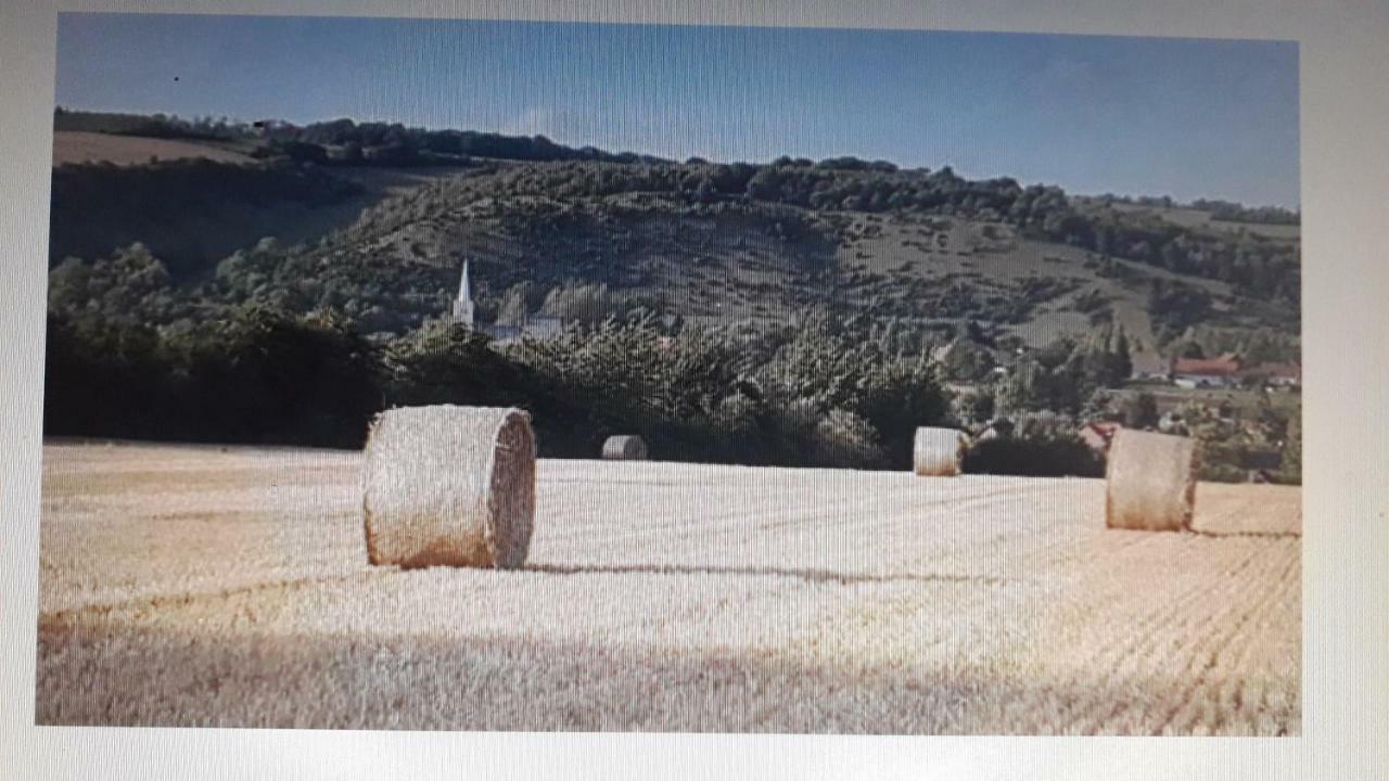 Studio Du Gite Wavrans-sur-l'Aa Eksteriør bilde